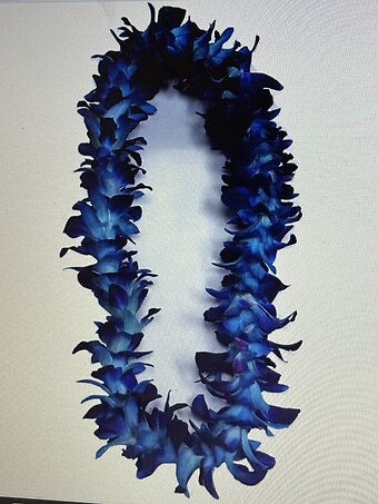 Hooray For You!  blue double orchid lei