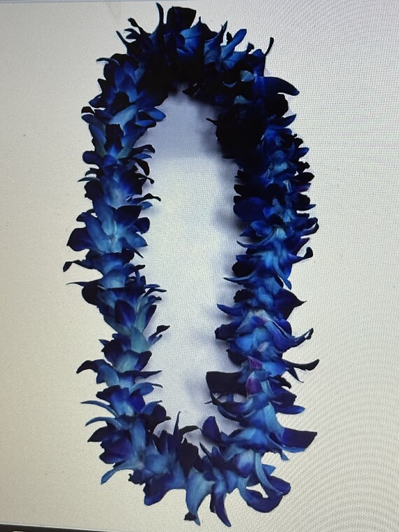 Hooray For You!  blue double orchid lei