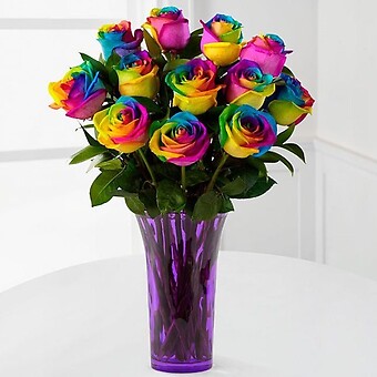 Rainbow Garden