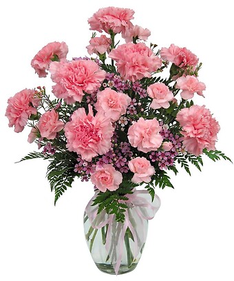 Classy Carnations
