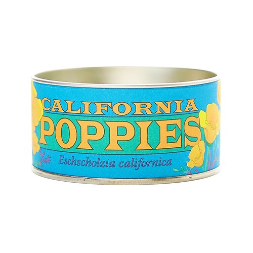 California Poppies Seed Grow Kit