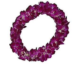 You Did It! Fresh double Flower Lei