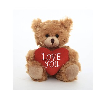 Brown I love you teddy